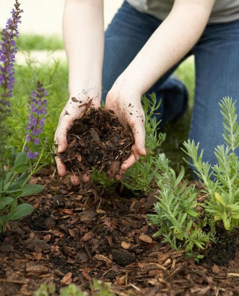 Add Protective Mulch Layer