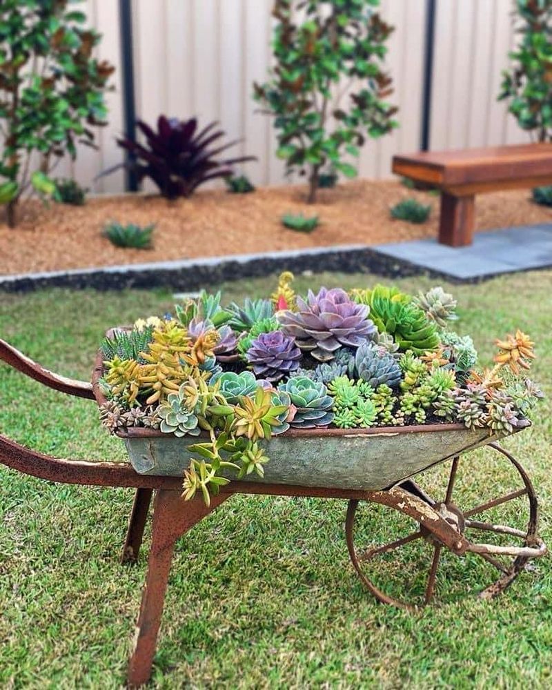 Wheelbarrow Garden Display