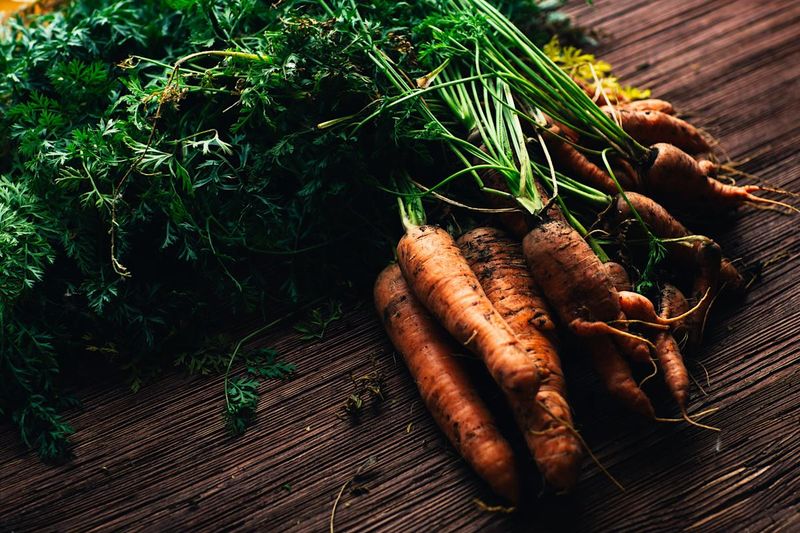 Carrots - Underground Orange Treasures