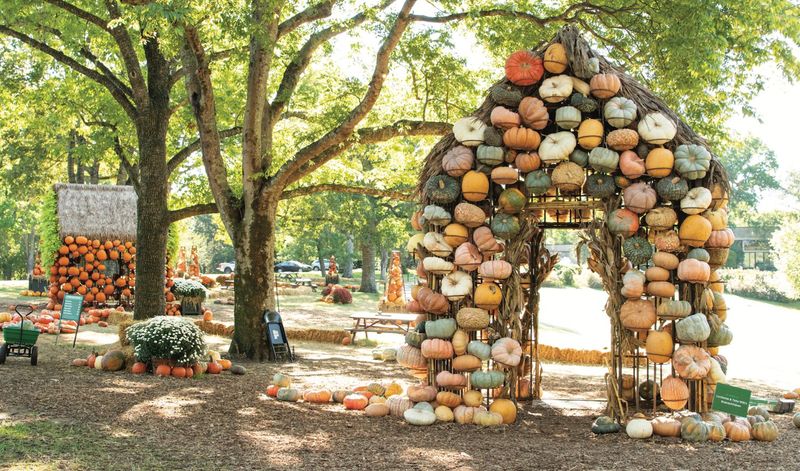 Cheekwood Estate's Harvest Celebration