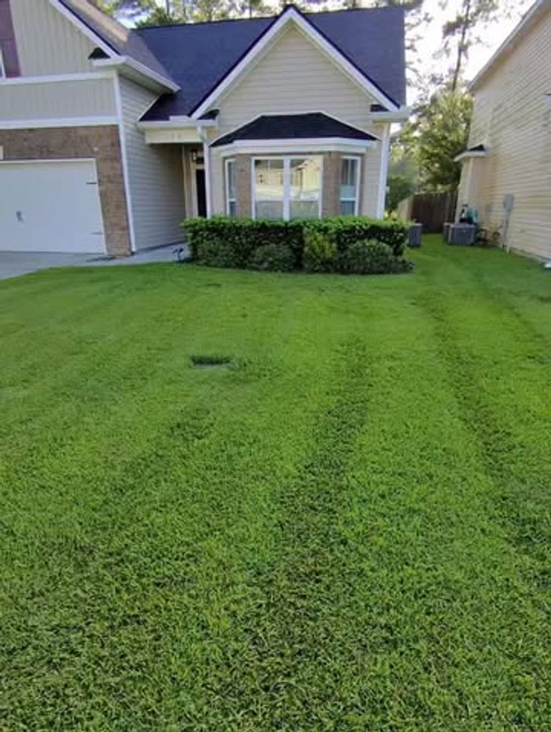 Mow When Grass Is Dry