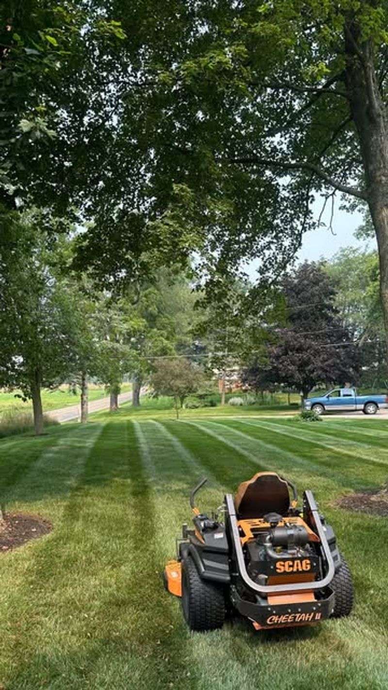 Mow When Grass Is Completely Dry