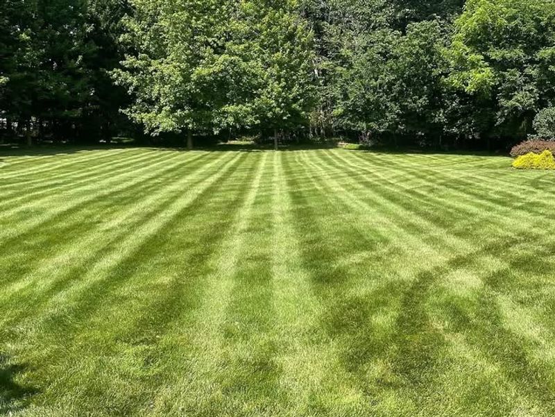 Keep Mowing Until Growth Stops Completely