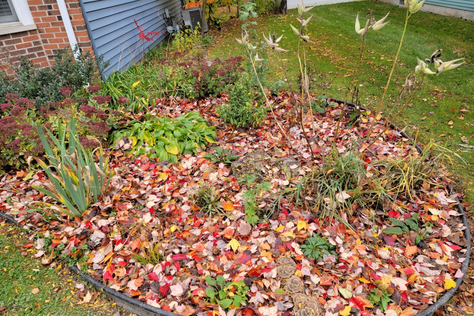 Read This Before Letting Leaves Sit On Your Flower Beds This Fall In Michigan