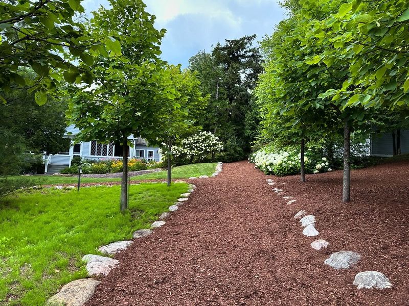 Mulched Natural Trails