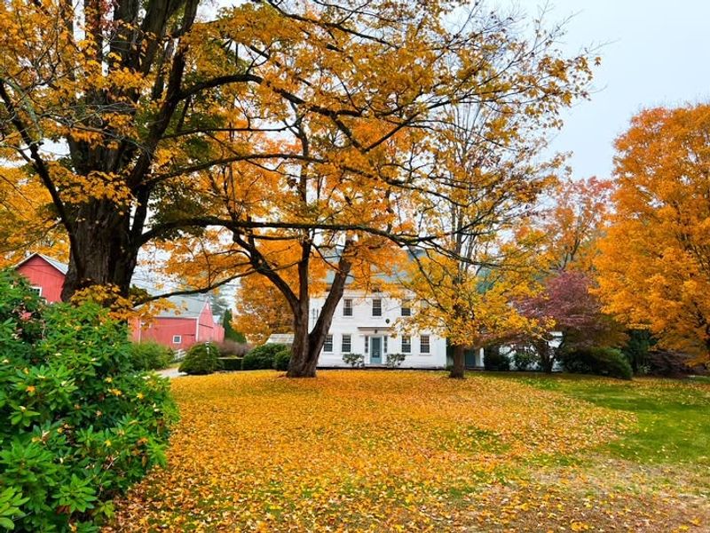 Know When To Stop Mowing For The Season