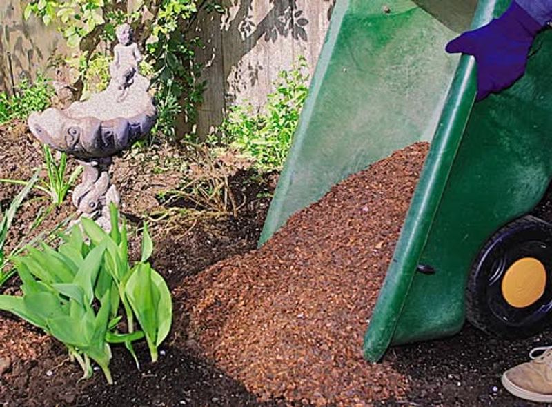 Add A Layer Of Mulch Around The Base