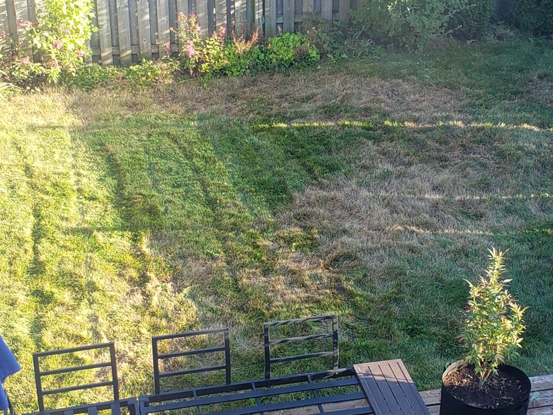 Controls Lawn Odors Instantly