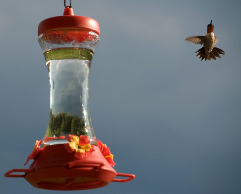 Early Preparation Ensures A Successful Spring Return