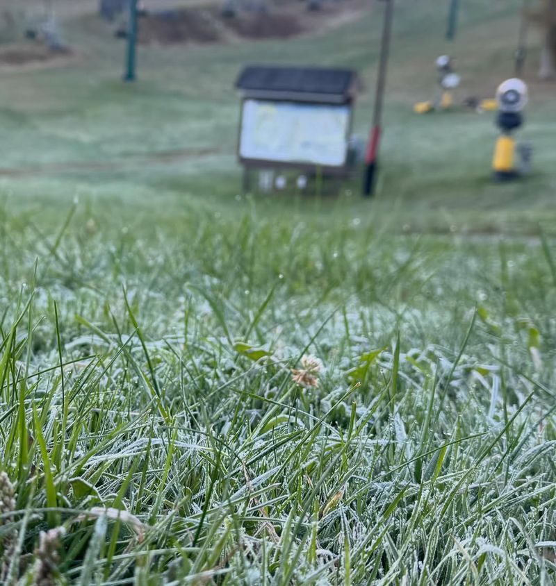 Avoid Mowing Wet or Frosty Grass