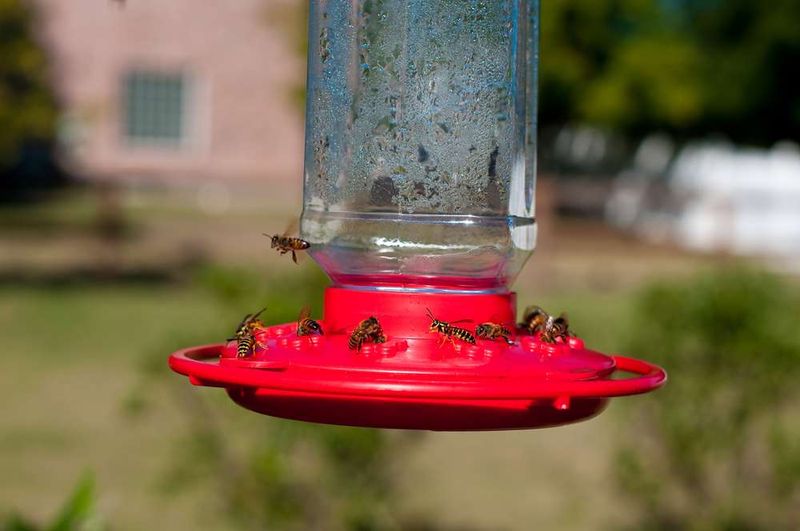Take Down Damaged Or Leaking Feeders Quickly