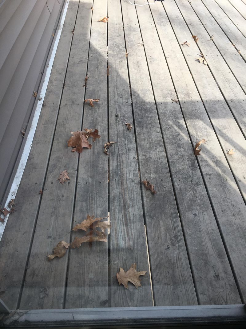 Fallen Leaves Create Stains That Get Worse Over Time