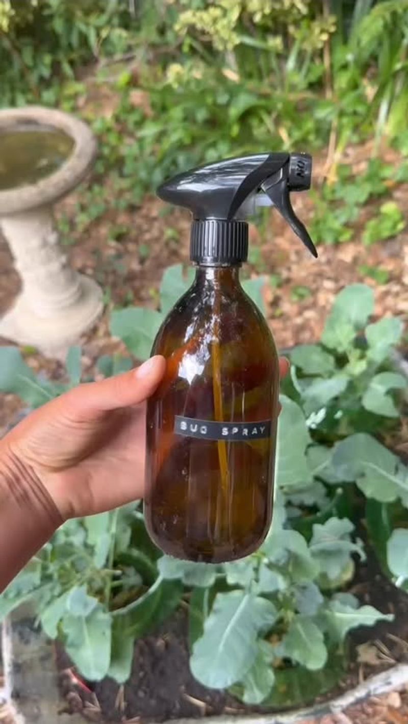 Try Homemade Garlic and Pepper Spray