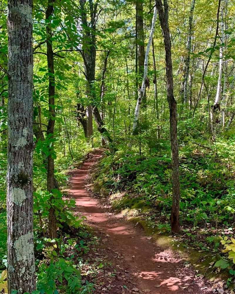 Trail Marking System