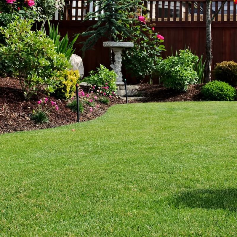 Lush Lawns