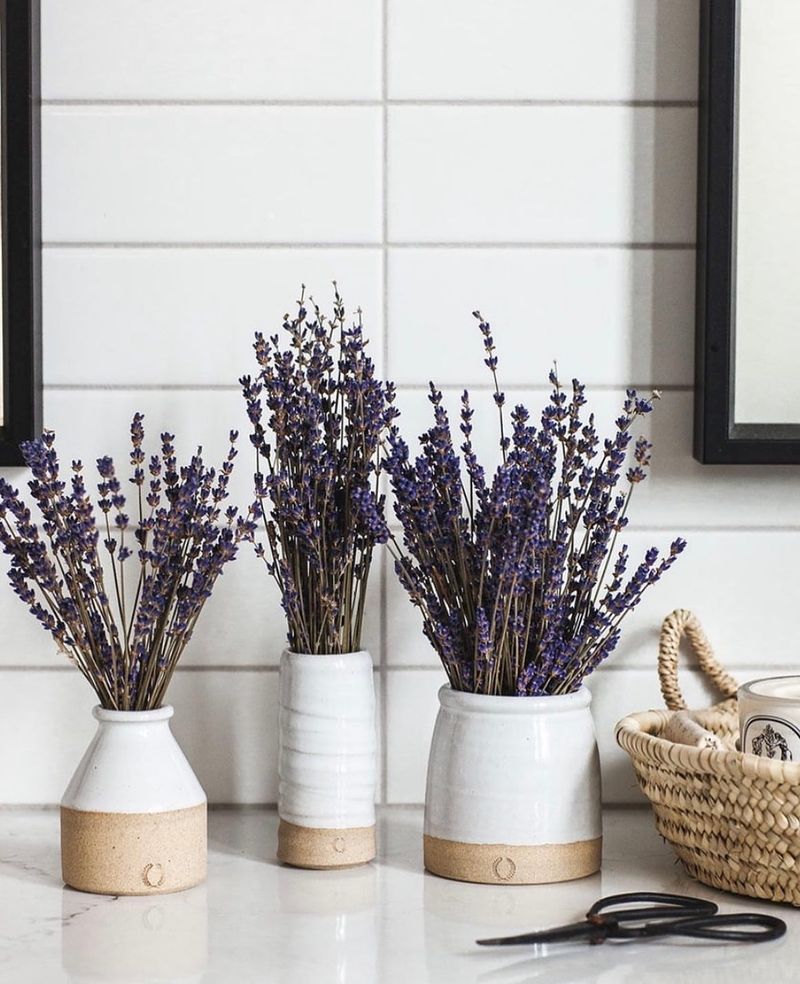 Lavender