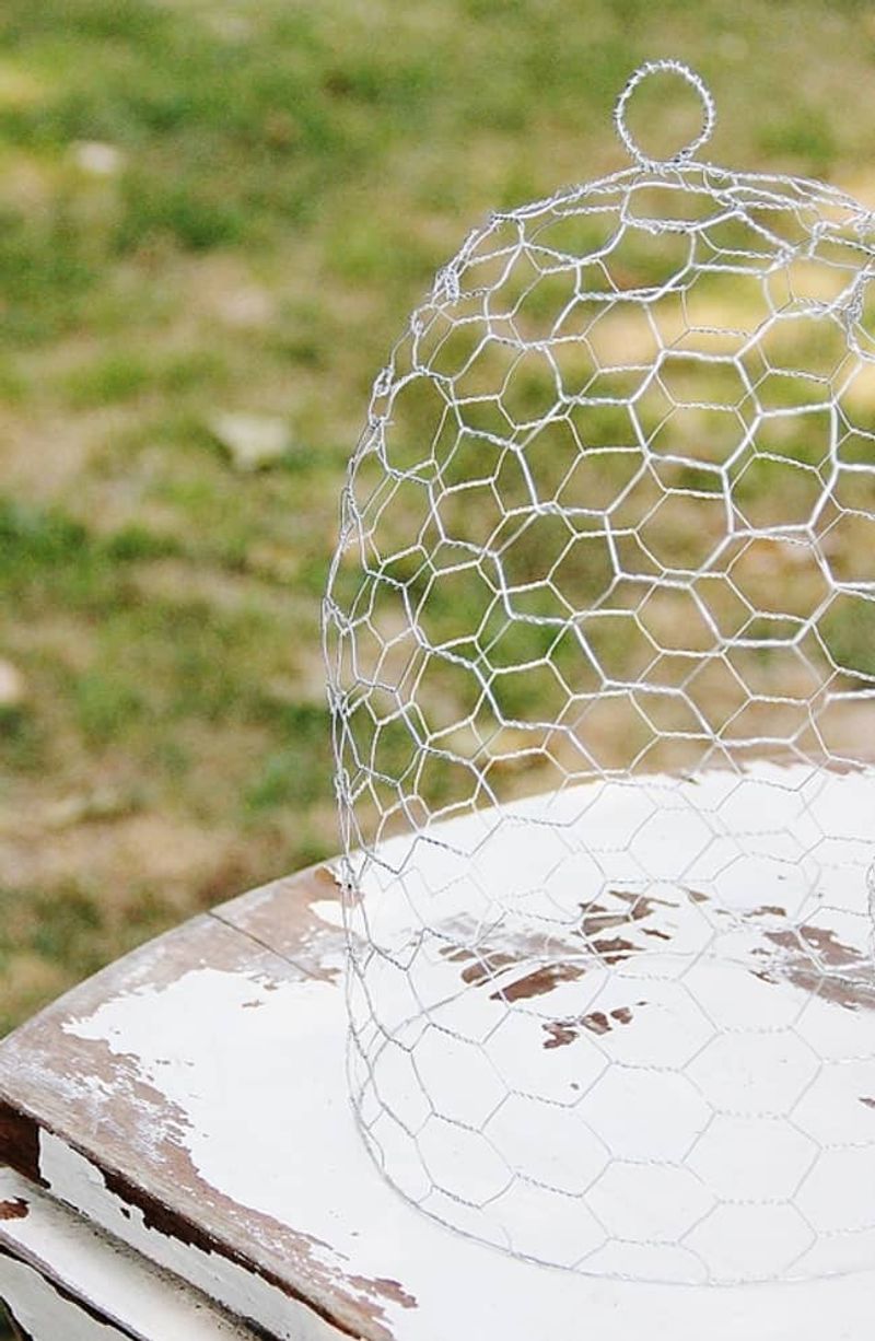 Cover Pumpkins With Chicken Wire Cages