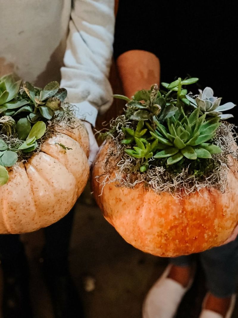 Pumpkin Planter Centerpiece