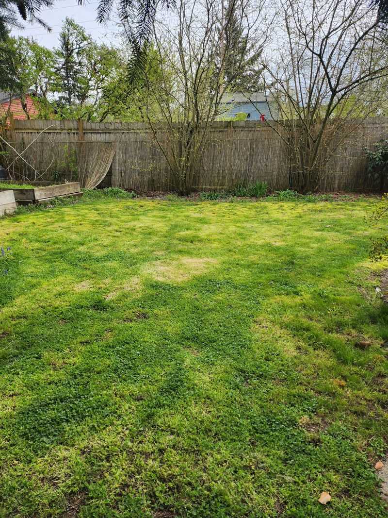 Prepares Grass For Winter Dormancy