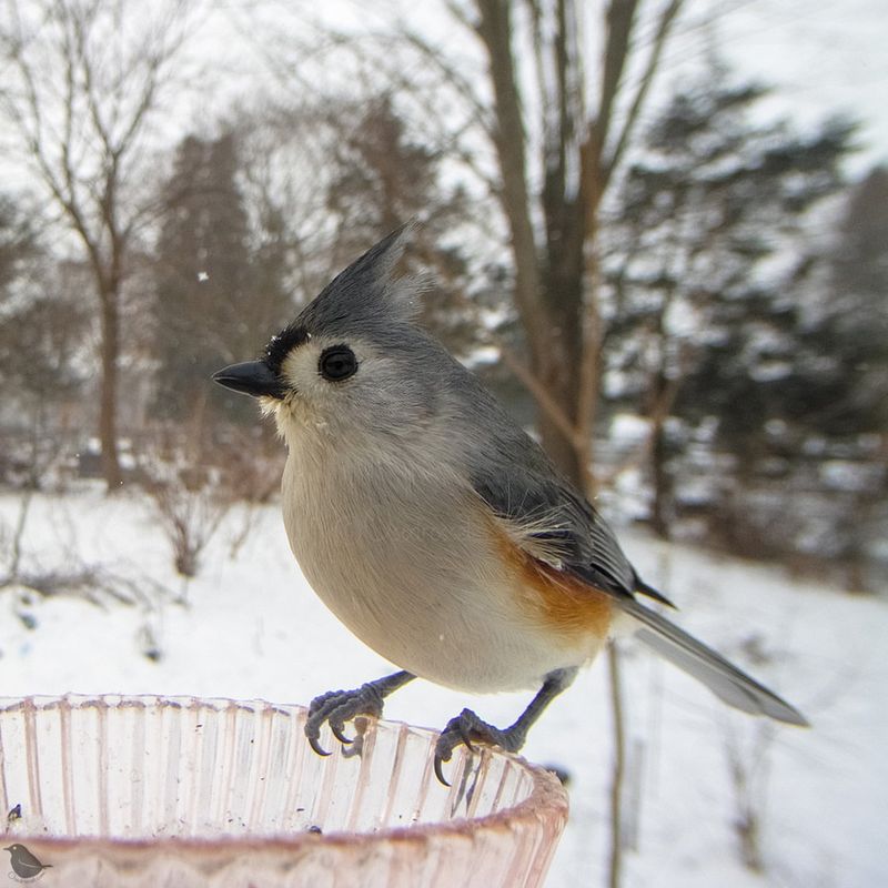 Works Best In Michigan's Sunny Winter Days