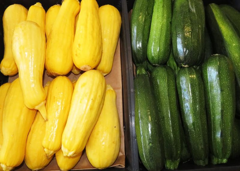 Boardwalk Zucchini