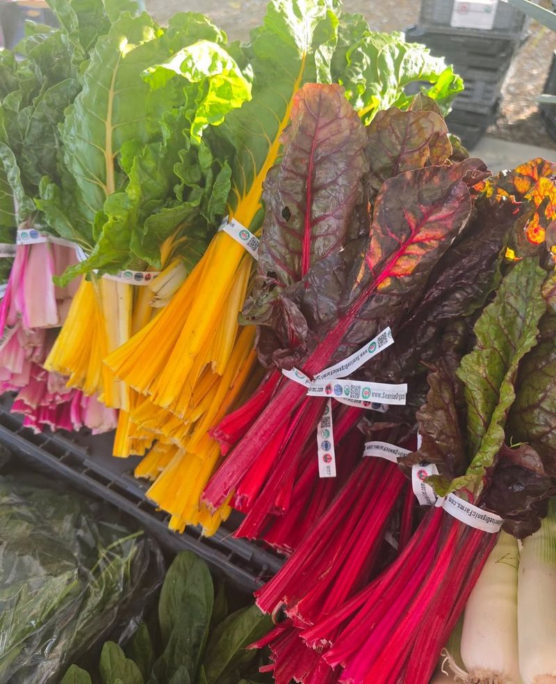 Swiss Chard