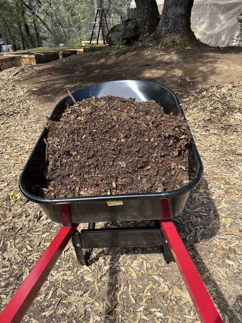 Mix Leaf Mold Into Garden Beds