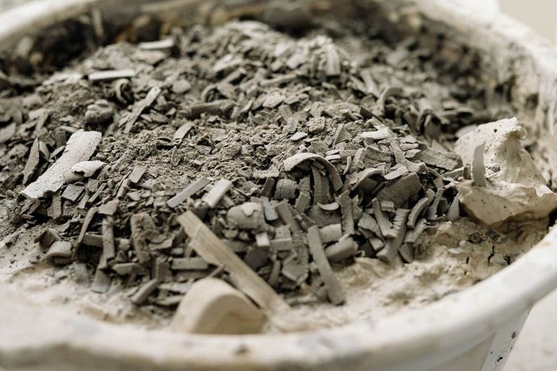 Wood Ash From Untreated Firewood