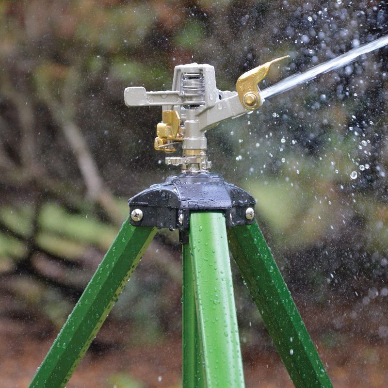 Install Motion-Activated Lights And Sprinklers