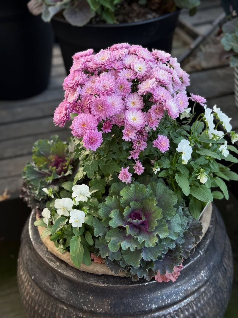Overlooking Pot Quality And Drainage Issues