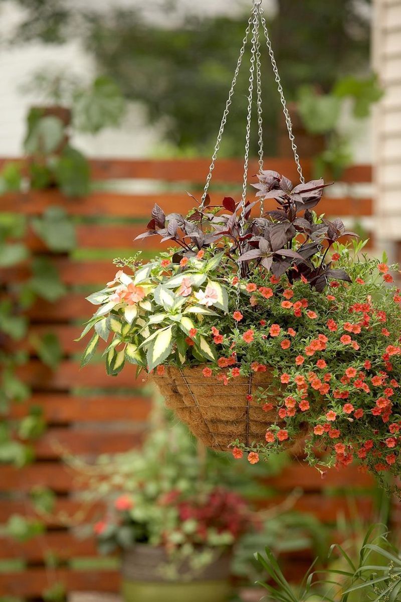 Hanging Baskets for Space-Saving Gardens
