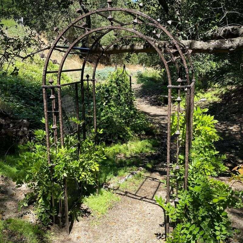 Garden Archways and Tunnels