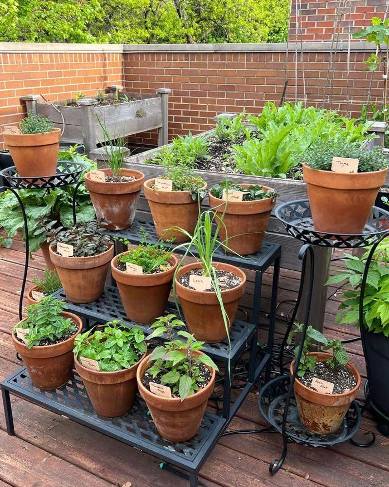 Herb Gardens