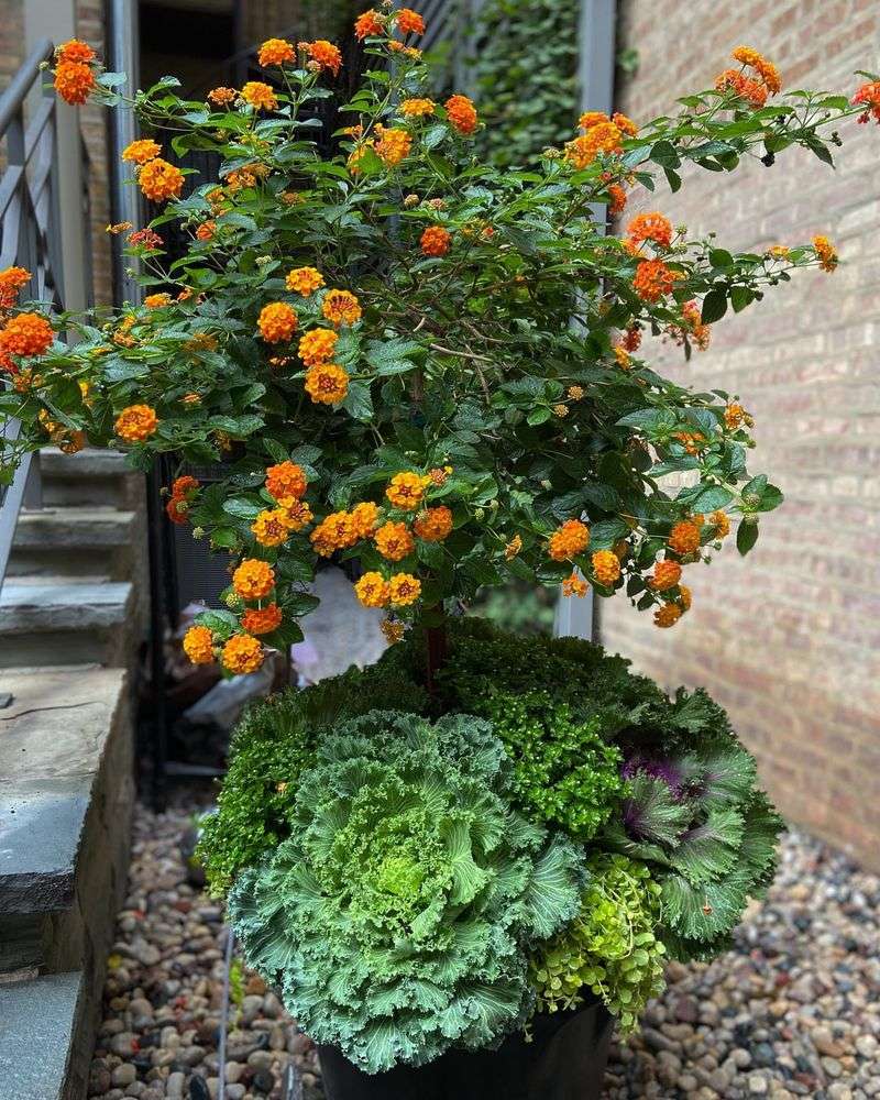 Avoid Heavy Pruning In Late Fall