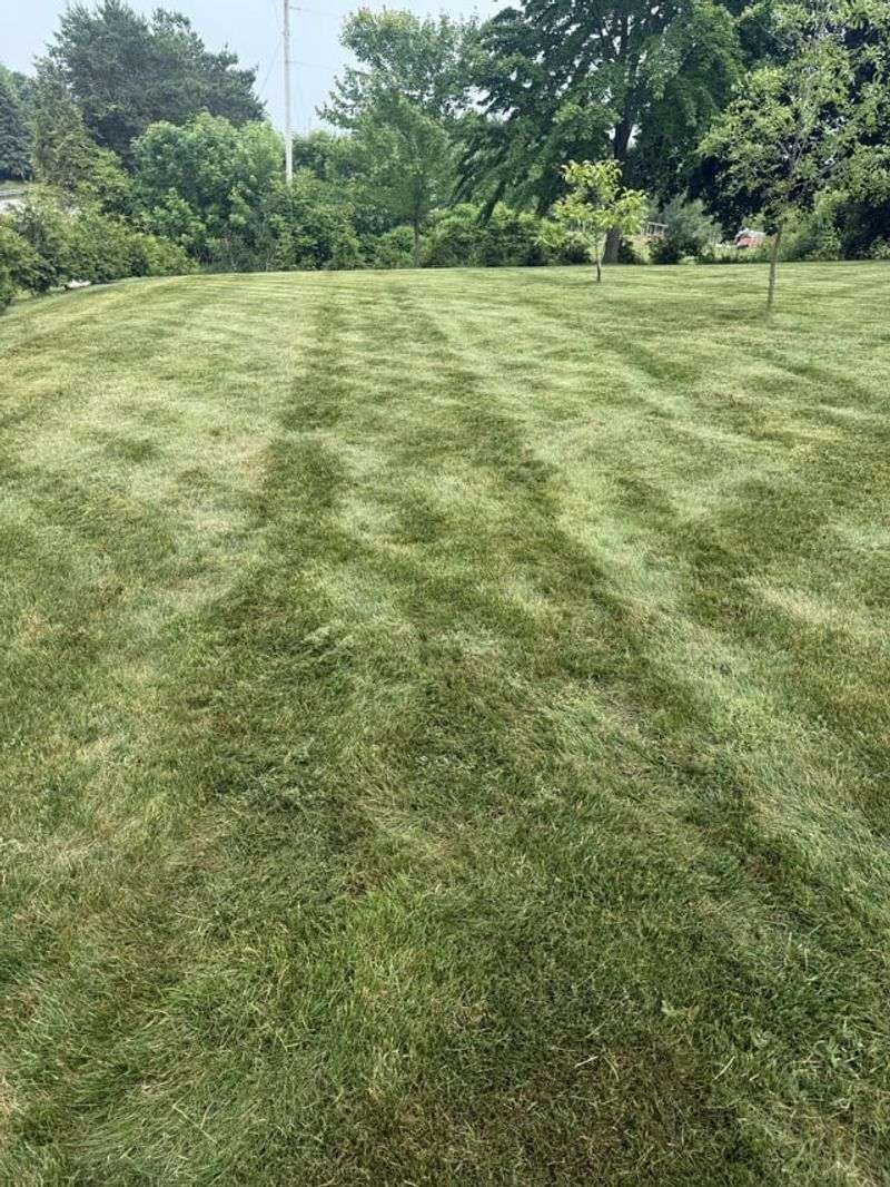 Adjust Your Mowing Pattern Each Time