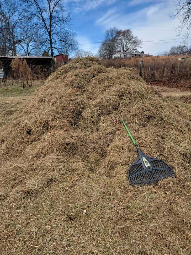 Don't Bag Your Clippings in November
