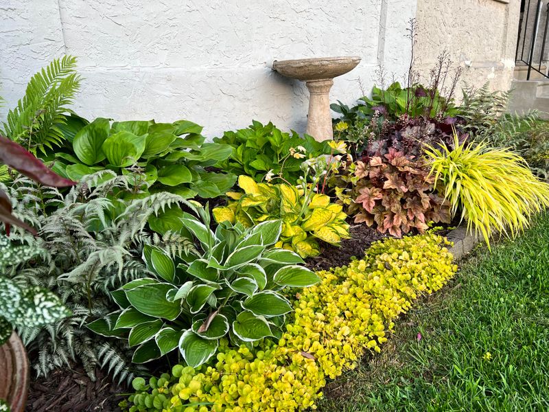 Understanding New York's Hardiness Zones