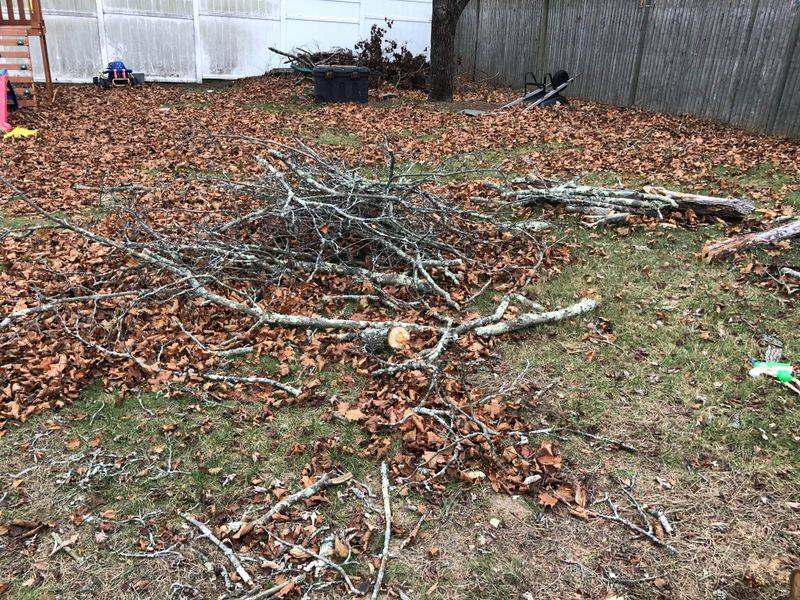 Spring Cleanup Timing Matters For Success