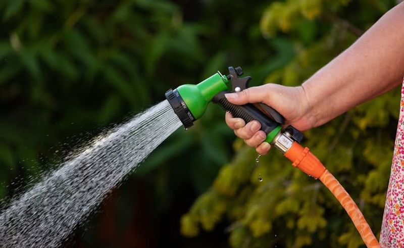 Blast Them Away With A Strong Water Spray