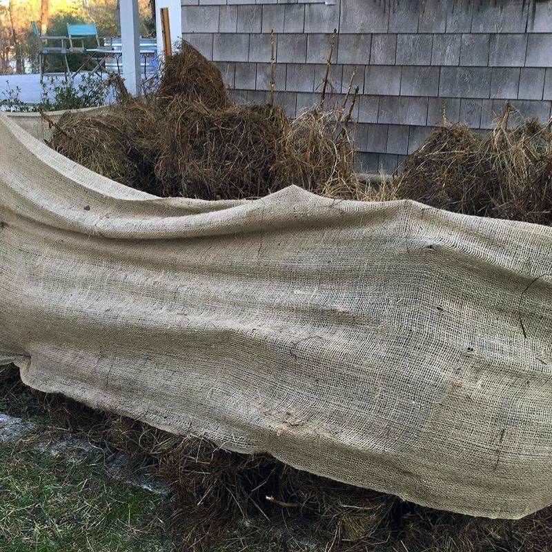 Build A Protective Burlap Windbreak For Exposed Plants