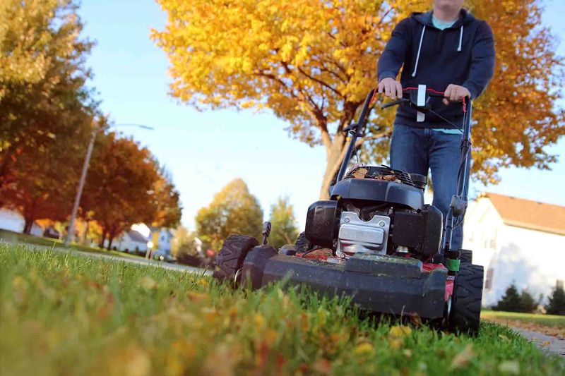Mowing Too Short In Autumn