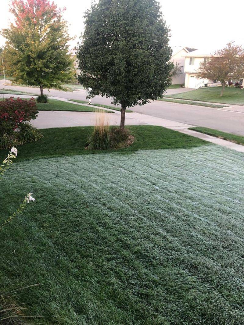 Fertilizing Frozen Or Snow-Covered Ground