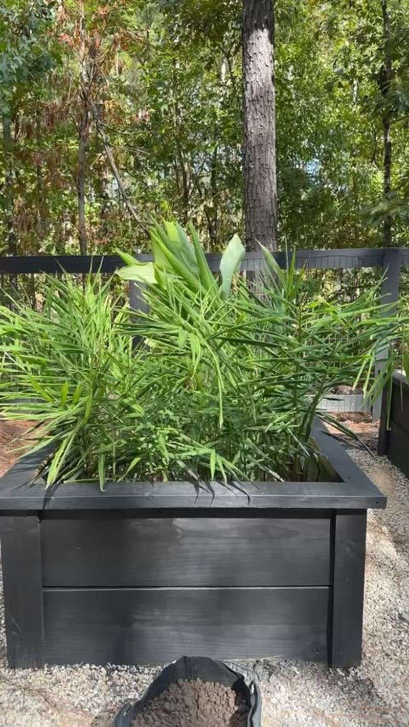 Plant At The Correct Depth And Spacing