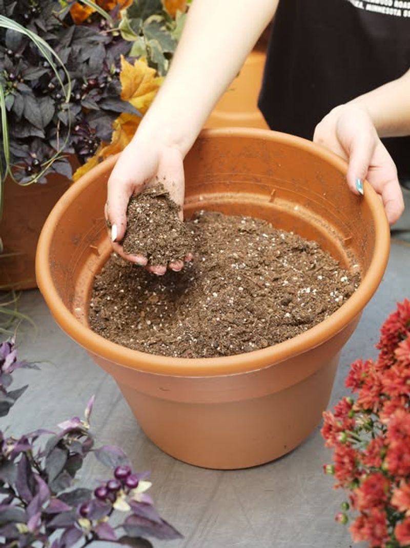 Amend Soil With Compost And Fertilizer