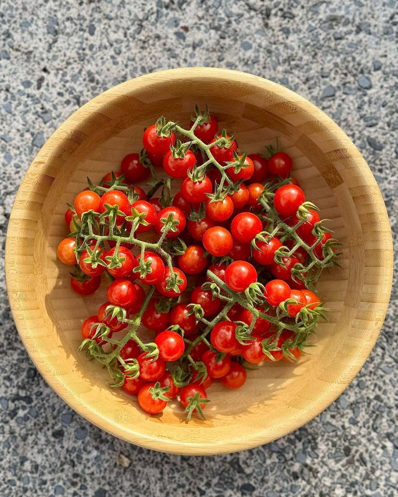 Cherry Tomatoes