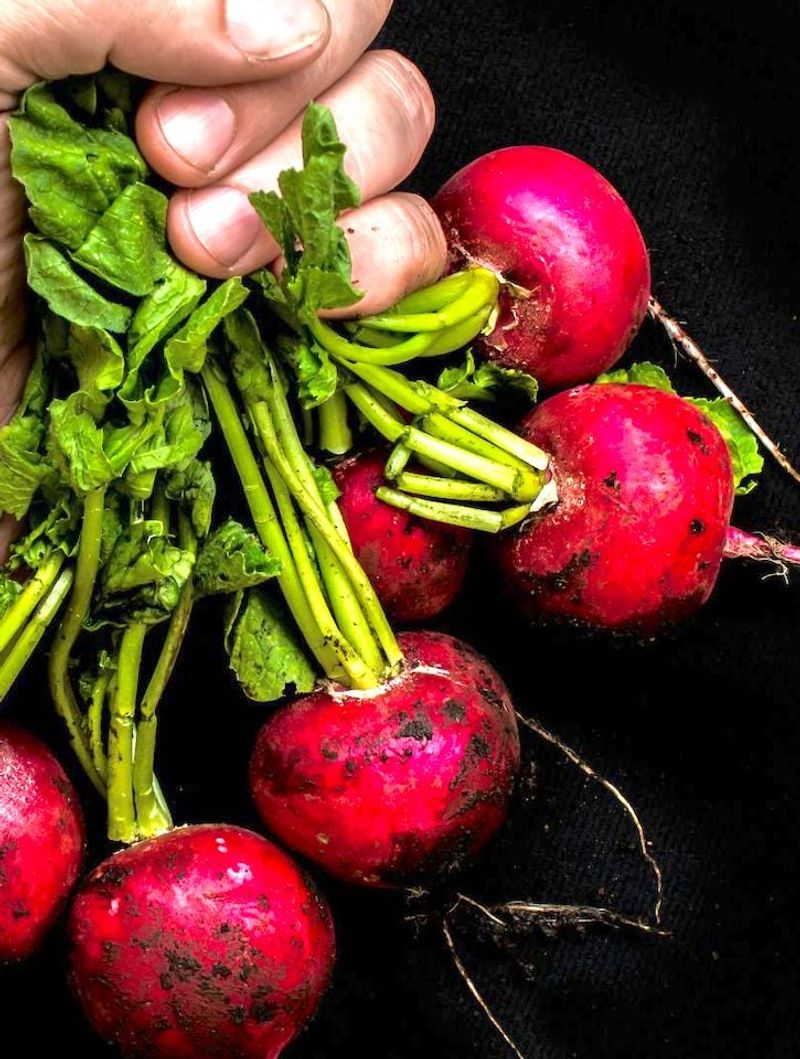 Radishes