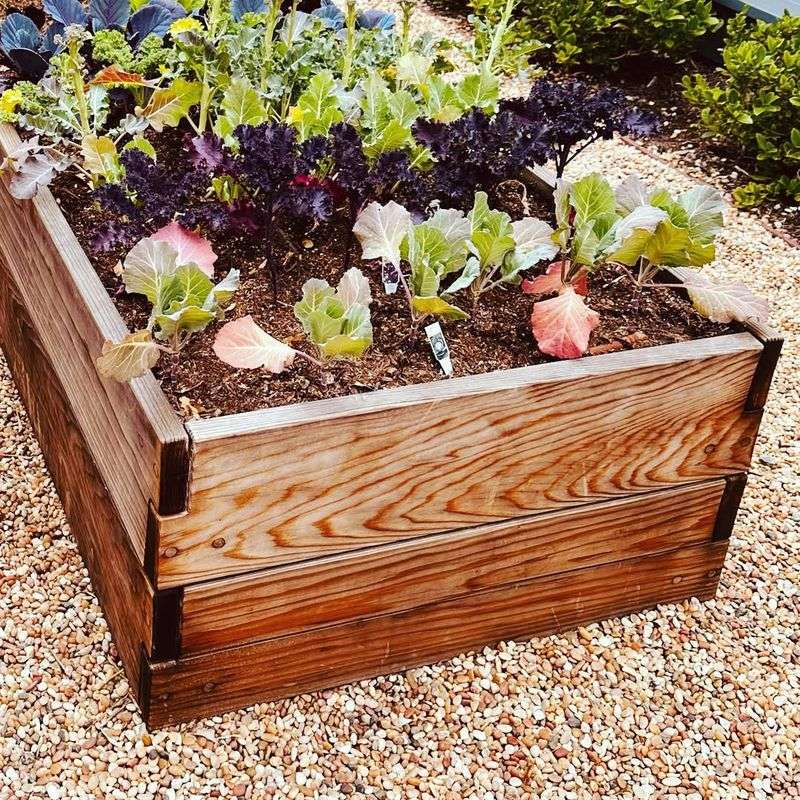 Redwood Raised Beds
