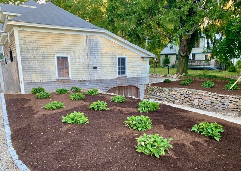 Apply A Thick Layer Of Protective Mulch