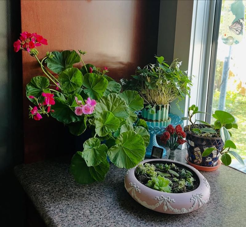 Overwinter In Original Containers