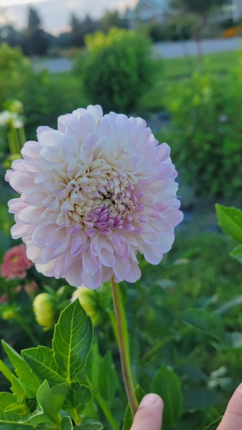 Plan Your Spring Planting Timeline